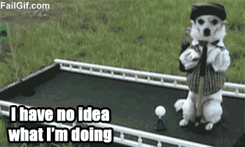 No idea dog